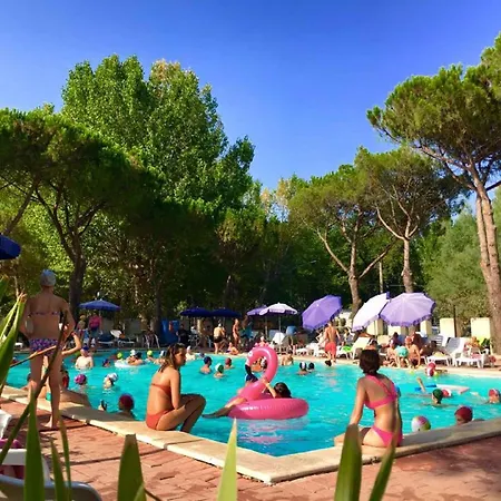 Punta Navaccia Am Trasimeno 24274