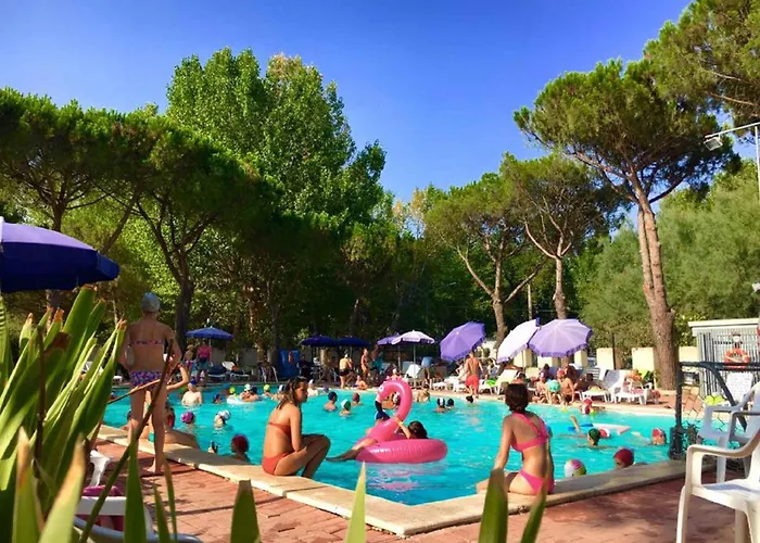 Punta Navaccia Am Trasimeno 24274